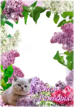 ფოტოეფექტი კატეგორიიდან დაბადების დღის ბარათები № 205692. წარწერა ჩარჩოზე: გილოცავ დაბადების დღეს! ფოტოეფექტი კატეგორიიდან დაბადების დღის ბარათები № 205692. წარწერა ჩარჩოზე: გილოცავ დაბადების დღეს!