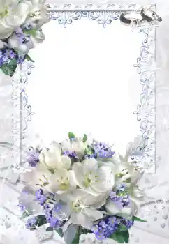 ფოტოეფექტი კატეგორიიდან საქორწილო ჩარჩოები № 52201