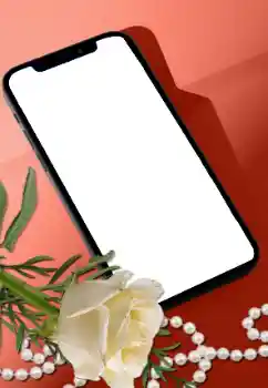 ფოტოეფექტი კატეგორიიდან ქალის ფოტოჩარჩოები № 205752